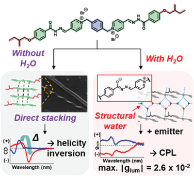 AggregateOA's tweet image. New Research Article🔬
"Unconventional assemblies of bisacylhydrazones: The role of water for circularly polarized luminescence" by Changsik Song et al. 
@SSKUniversity @Wiley_Chemistry #CPL #hydrazone #water #selfassembly 

Enjoy👉 doi.org/10.1002/agt2.1…