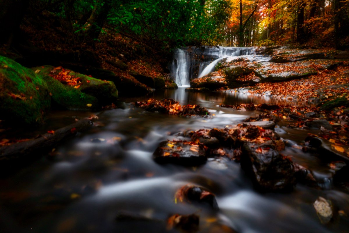 ShuttersceneP's tweet photo. I went to a place, I took some photos, who fucking cares.
#landscape #landscapephotography #nature #NaturePhotography #waterfalls #waterfallphotography #WhoCares #hashtagsareannoying #Ihatemylife https://t.co/cHMfIVsb7J
