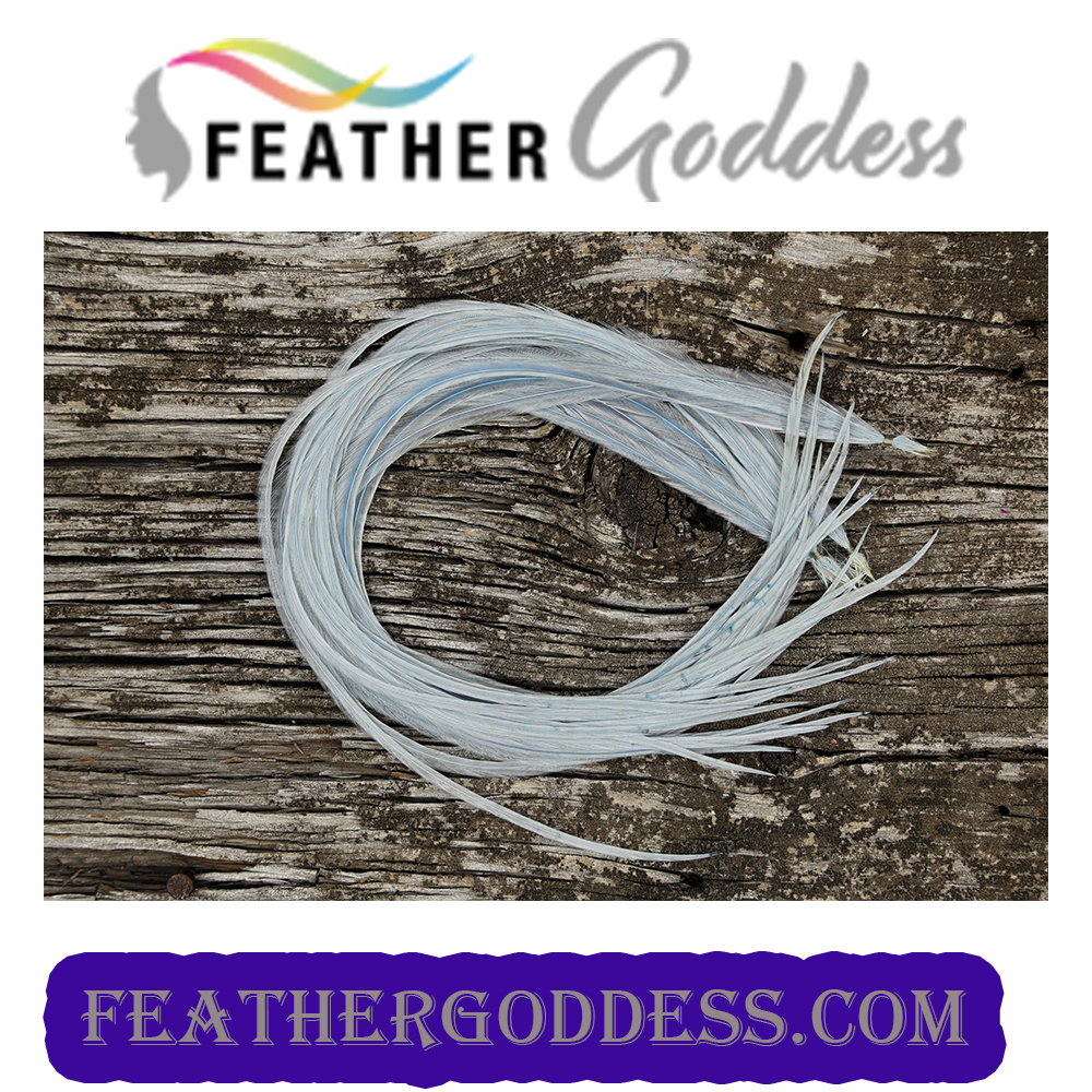 BLUE GRAY HAIR FEATHERS
feathergoddess.com/.../Hair.../FG…...
:
#hairstyles #hairextensions #hairsolons  #featherhairextensions #hairstyle #fashionfeathers #feathergoddess #extensionspecialist #hairdresser #collegefootball  #collegiatesports #schoolcolors #holidaycolors #holidays
