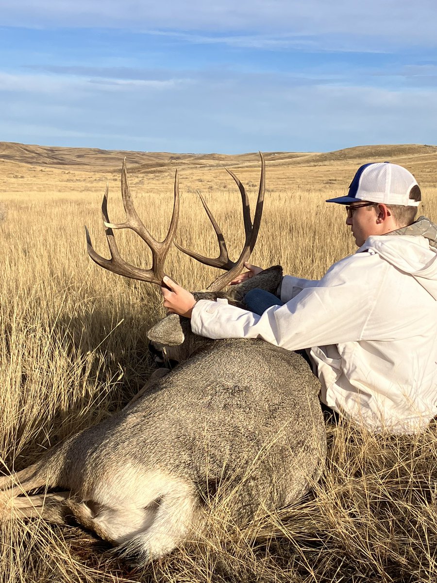 Richard Rieder tweet media