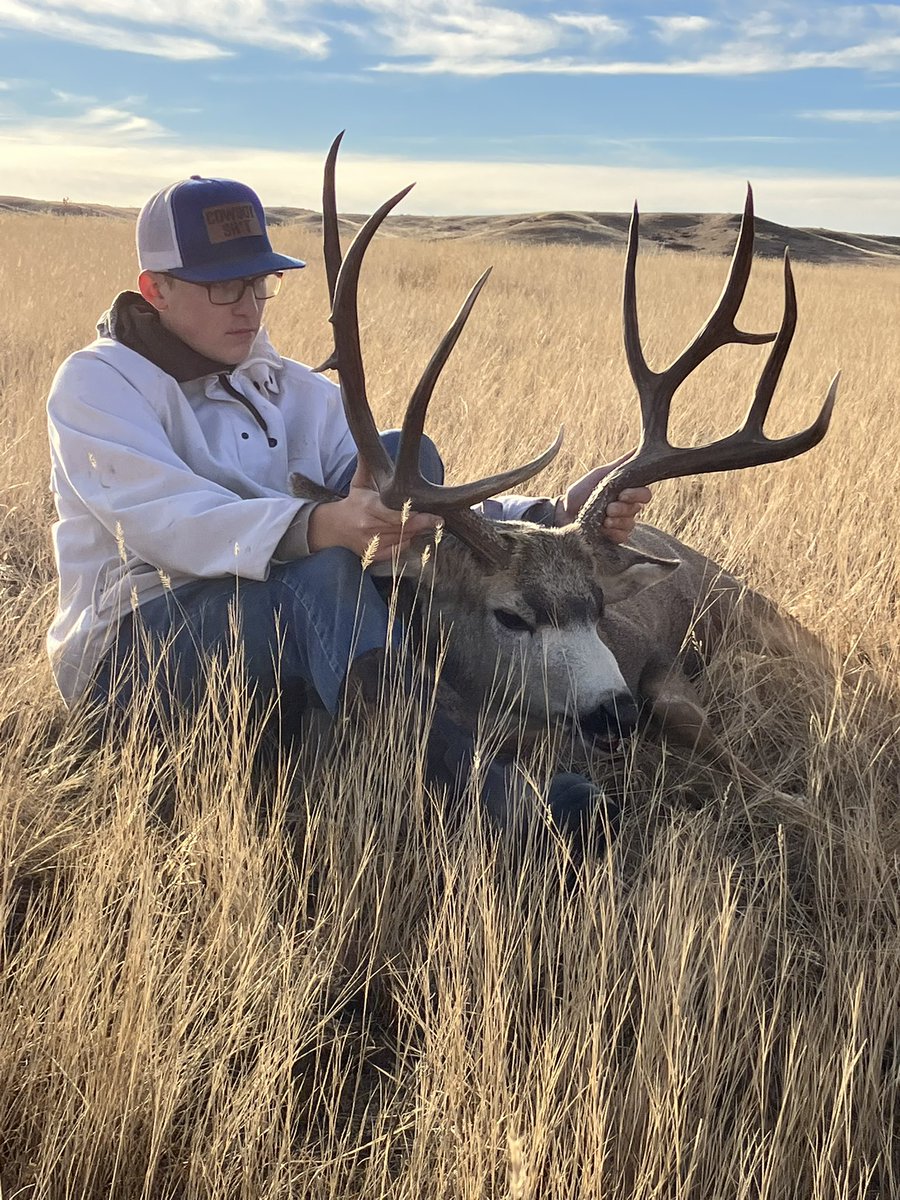 Richard Rieder tweet media