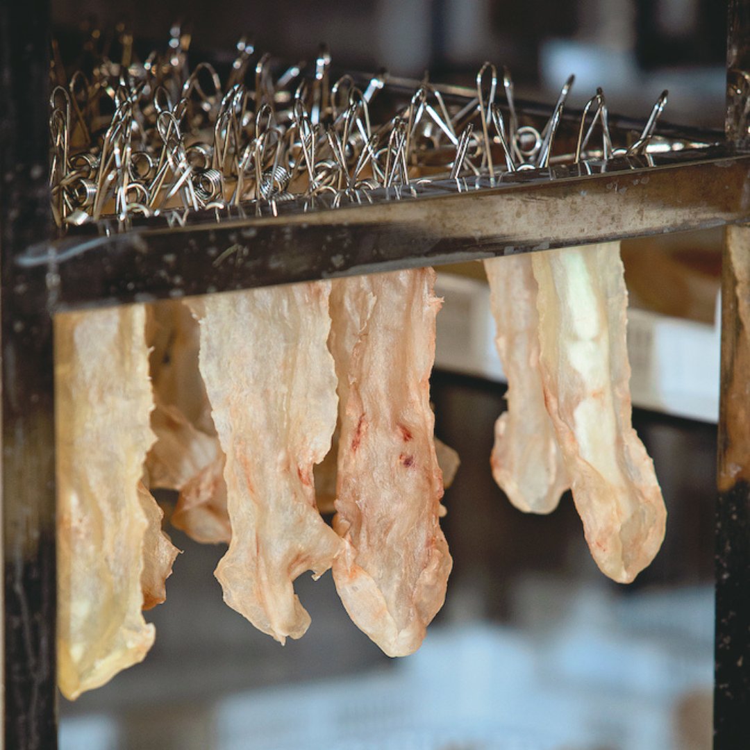 NZCS_ASX's tweet photo. 💭 What are your favourite Ling Maw recipes? Let us know in the comments below ⬇️

Tag us in your yummy dishes so we can share them on our page - we would love to see!

🔗 View our products -> https://t.co/mUjccRYuDI

#nzcs https://t.co/qNMVcOYbCE