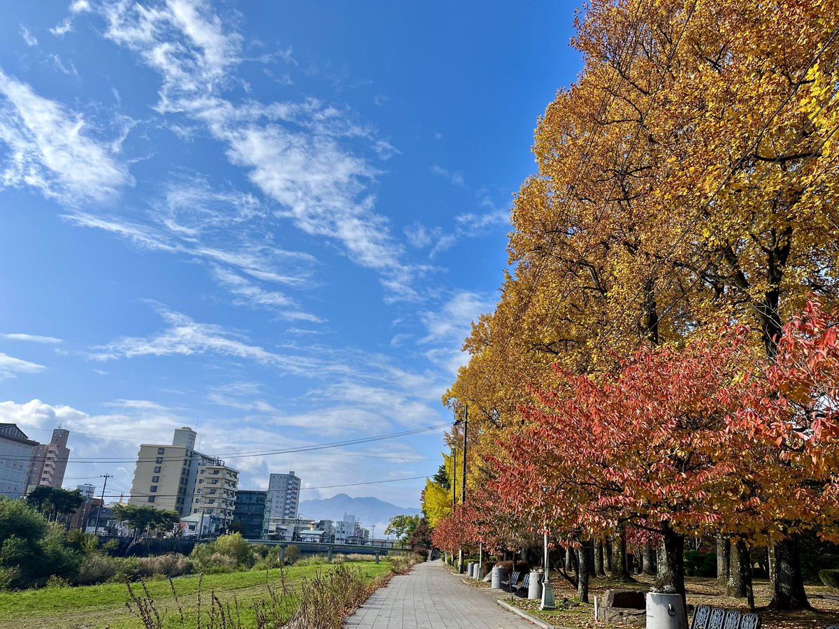 kei_w1985's tweet photo. 盛岡出張。
数年前から勝手に応援しているヘラルボニー。大躍進を続けていて嬉しい限り😄　カフェもお風呂もサウナも👍でした。
盛岡はもう秋。
#ヘラルボニー
#HOTEL_MAZARIUM https://t.co/fUppnab4pY