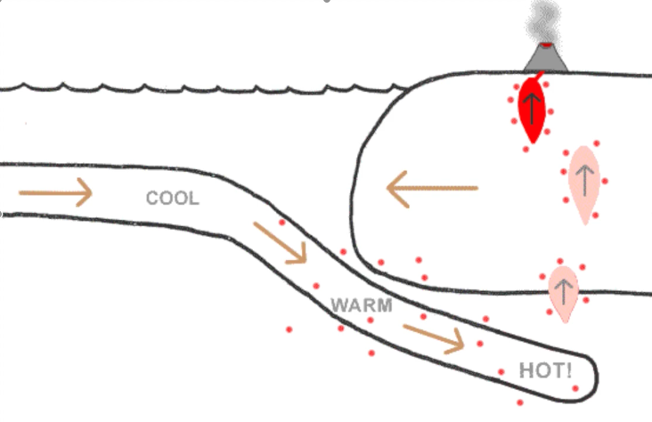 PITTprojects's tweet image. New Exhibition / COOL WARM HOT! - mailchi.mp/389bcc234d03/n…