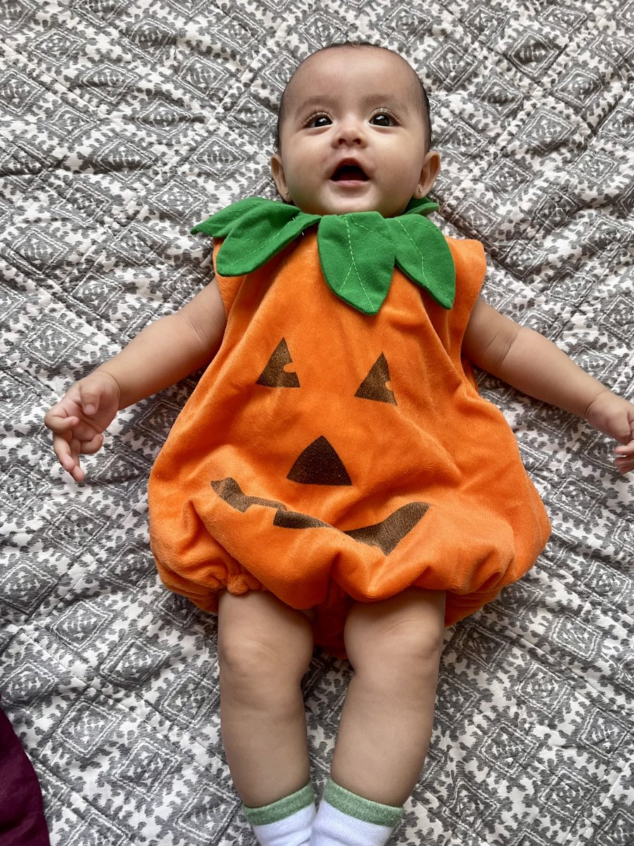 enaim_vane83's tweet photo. Calabacita 🧡 https://t.co/oy9penfb5L