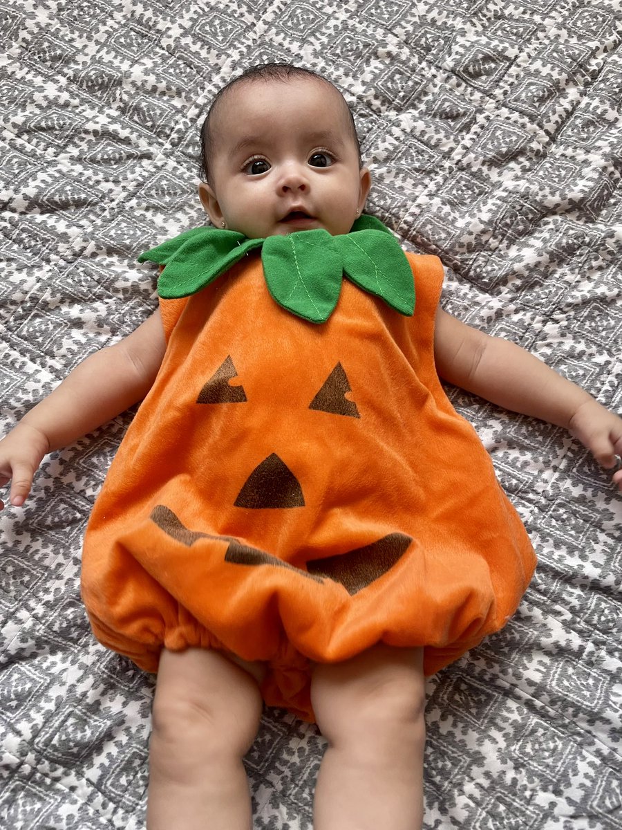 enaim_vane83's tweet photo. Calabacita 🧡 https://t.co/oy9penfb5L