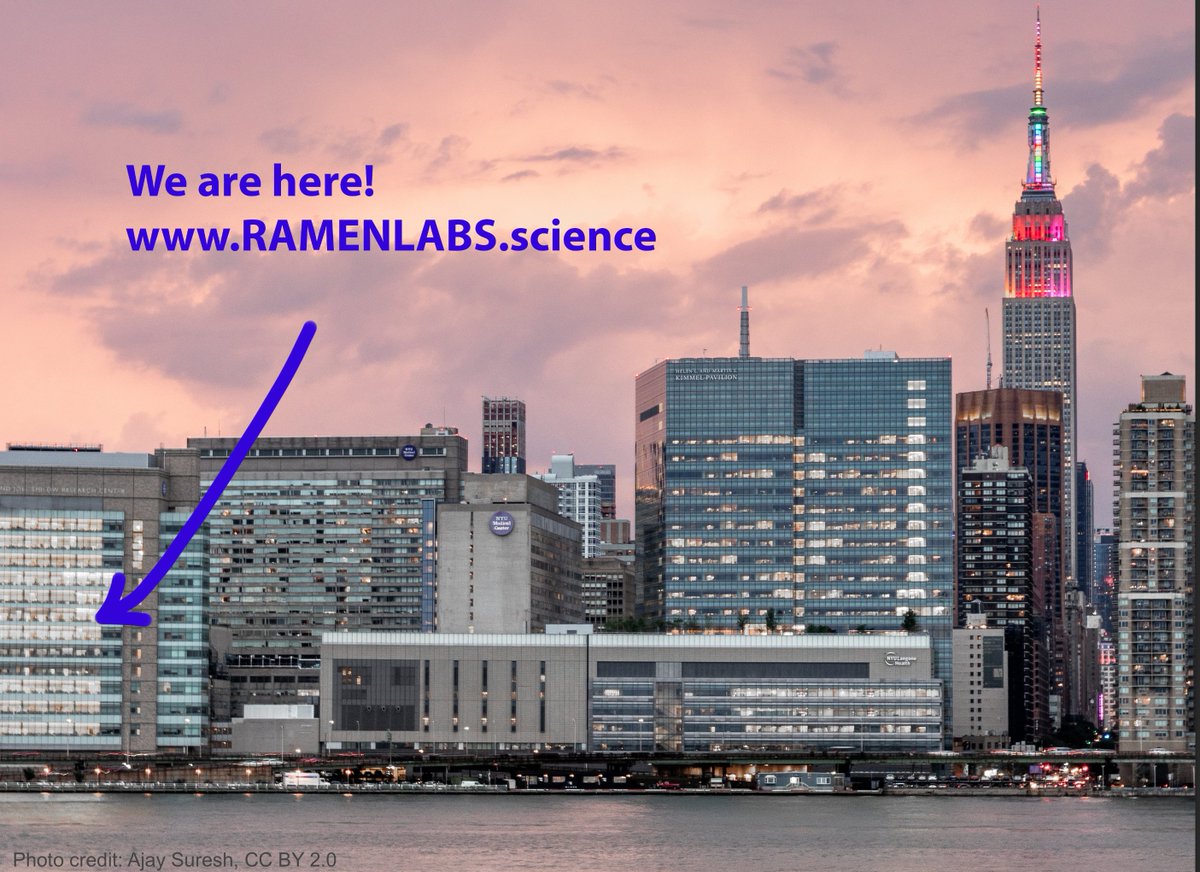 Jonas Schluter (@jonasschluter) on Twitter photo Join our team <a href="/nyulangone/">NYU Langone Health</a> RAMENLABS! Looking for postdocs and techs. ramenlabs.science/apply
<a href="/nyugrossman/">NYU Grossman School of Medicine</a> <a href="/Perlmutter_CC/">Perlmutter Cancer Center at NYU Langone Health</a> <a href="/nyuniversity/">New York University</a> #postdocjobs #microbiome Join our team <a href="/nyulangone/">NYU Langone Health</a> RAMENLABS! Looking for postdocs and techs. ramenlabs.science/apply
<a href="/nyugrossman/">NYU Grossman School of Medicine</a> <a href="/Perlmutter_CC/">Perlmutter Cancer Center at NYU Langone Health</a> <a href="/nyuniversity/">New York University</a> #postdocjobs #microbiome