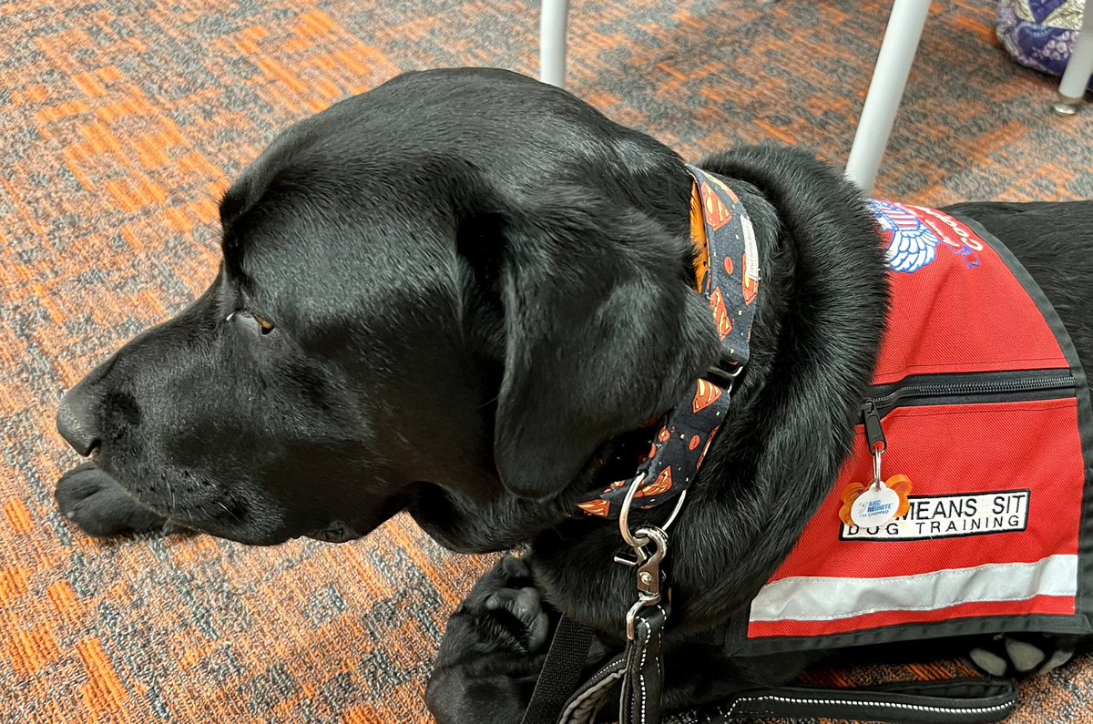 kallen4775's tweet photo. Cooper waiting for his first readers! #readingpaws #dogsoftwitter #therapydogs https://t.co/uAwal1iQp7