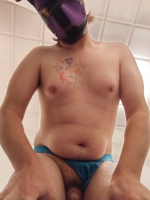 Really enjoying the #pup hood https://t.co/C7p240gjbE<a href="/tag/pup"class="tags">#pup</a>