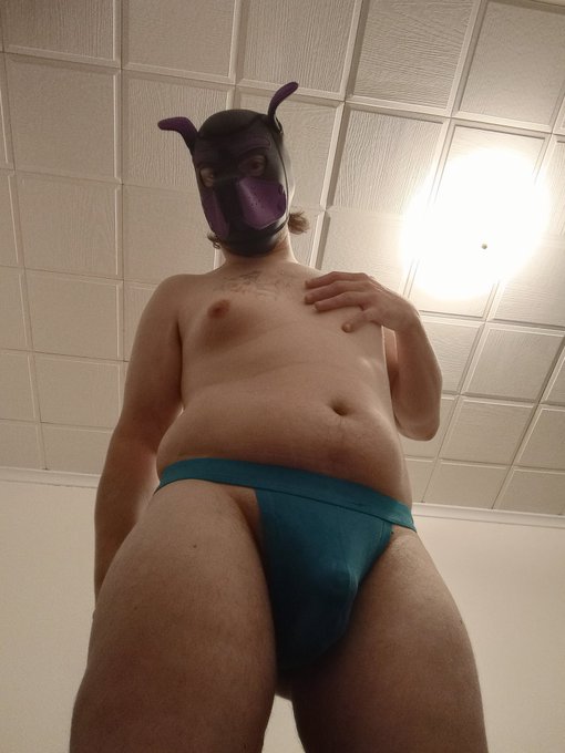 Really enjoying the #pup hood https://t.co/C7p240gjbE<a href="/tag/pup"class="tags">#pup</a>