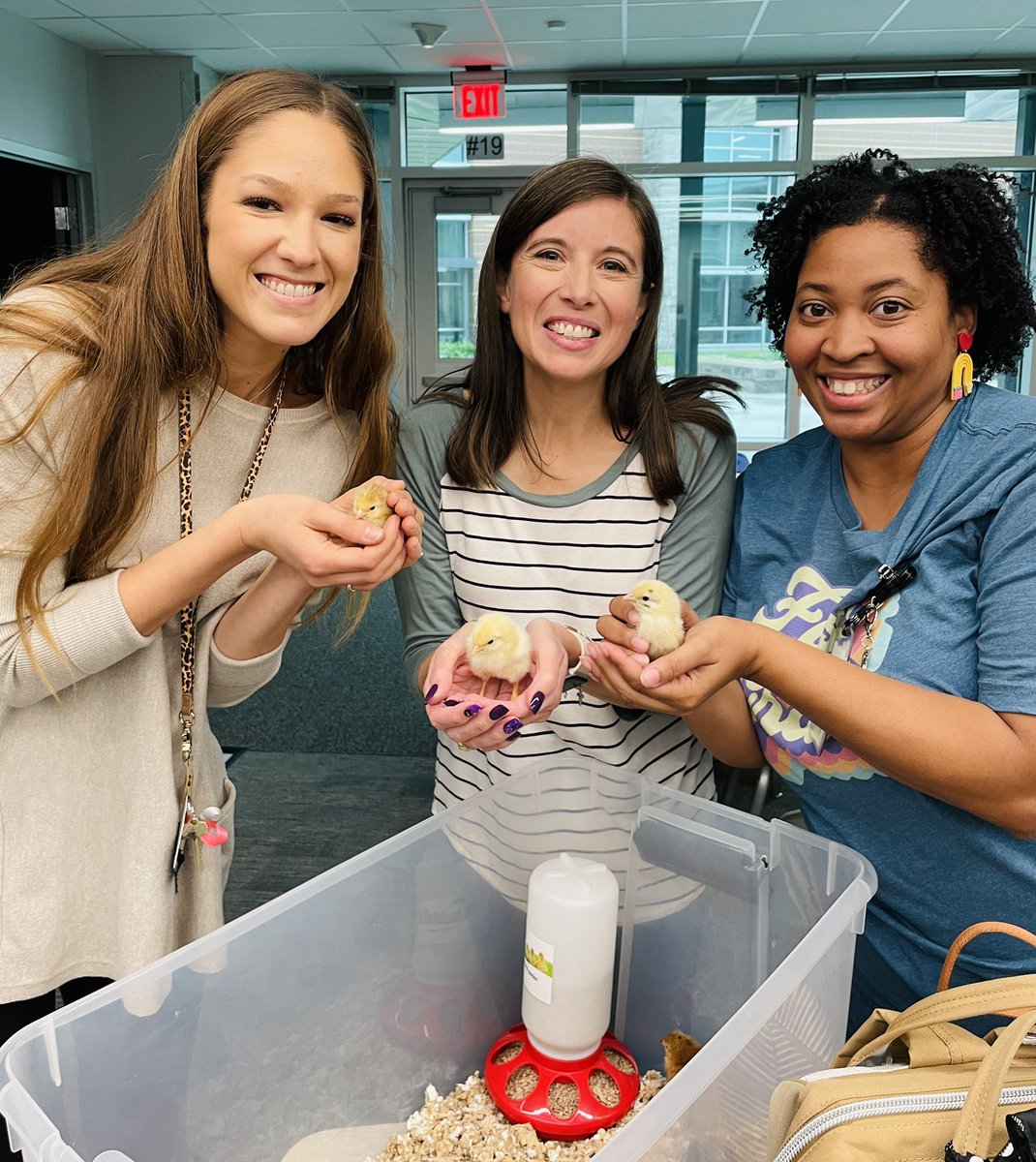 Maria Salazar tweet media