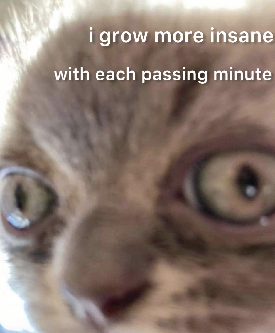 literallymecats's tweet image. 