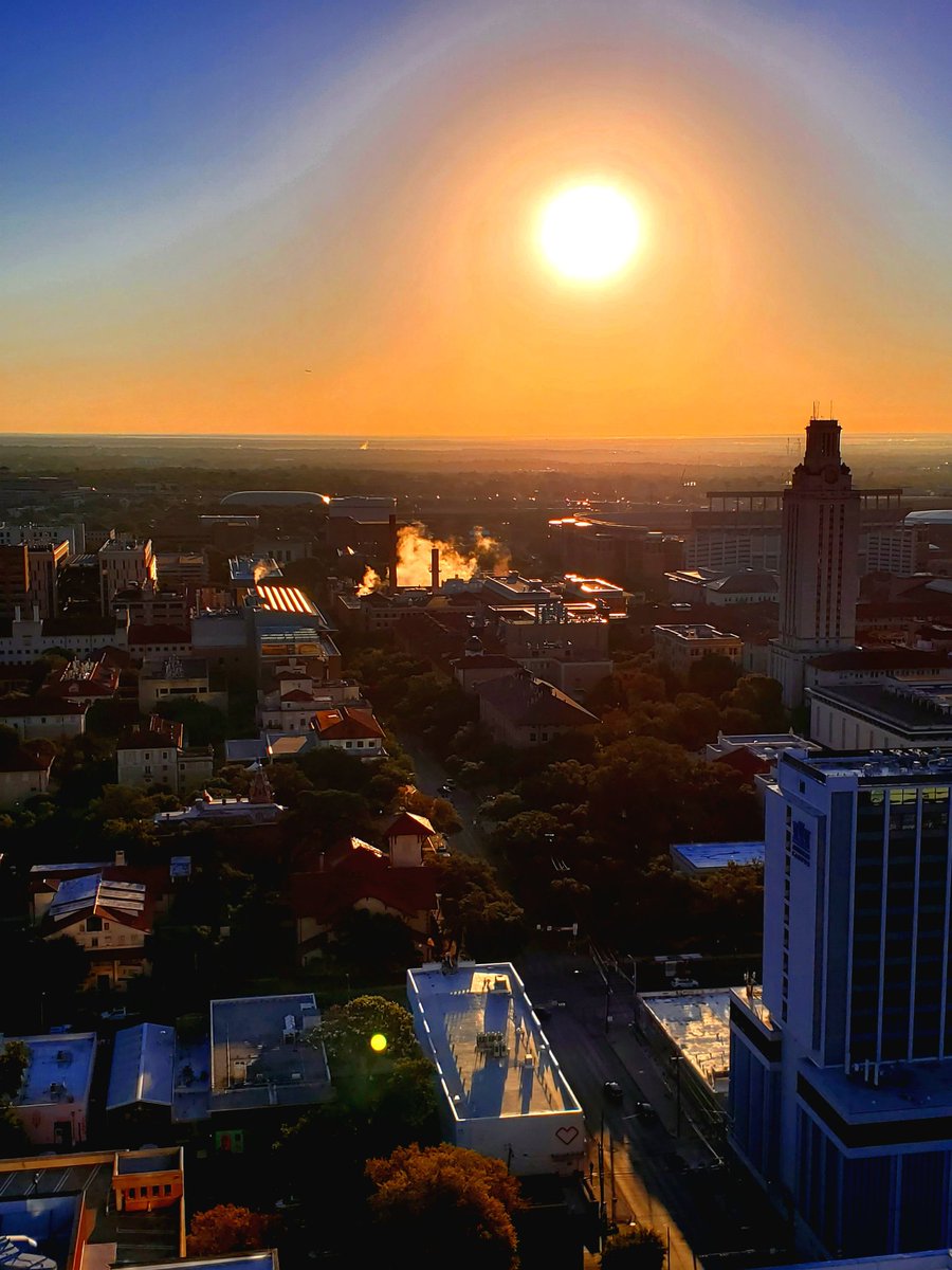 Hansa bosbach tweet media