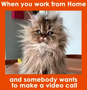 virtech_aus's tweet photo. How do you prepare for your meetings when you work from home? #workfromhomewednesday #wfh #employeeengagement #employeexperience #hybridwork   source:  Facebook - qbrainsgr https://t.co/StlyDashnn