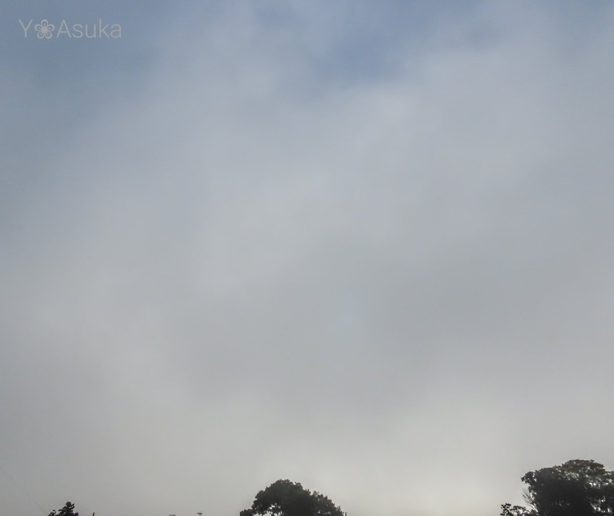 yumeasutw's tweet photo. 辺り一面真っ白な #霧 に覆われた水曜日の朝🌫️
#雫 を纒いしっとりの #ミニバラ 🌹

予想最高/最低気温🌡️23℃/10℃
曇りのち晴れ☁️→☀️
日が高くなるにつれて青空が広がり穏やかな秋晴れとなりそうです🍁

#空の名前
#天気の図鑑 #雲友の会
#濃霧
#薔薇 #バラ #Rose
#庭花 #花
#a2022 #a1102 #a202211 https://t.co/ZvkcOwcqOt