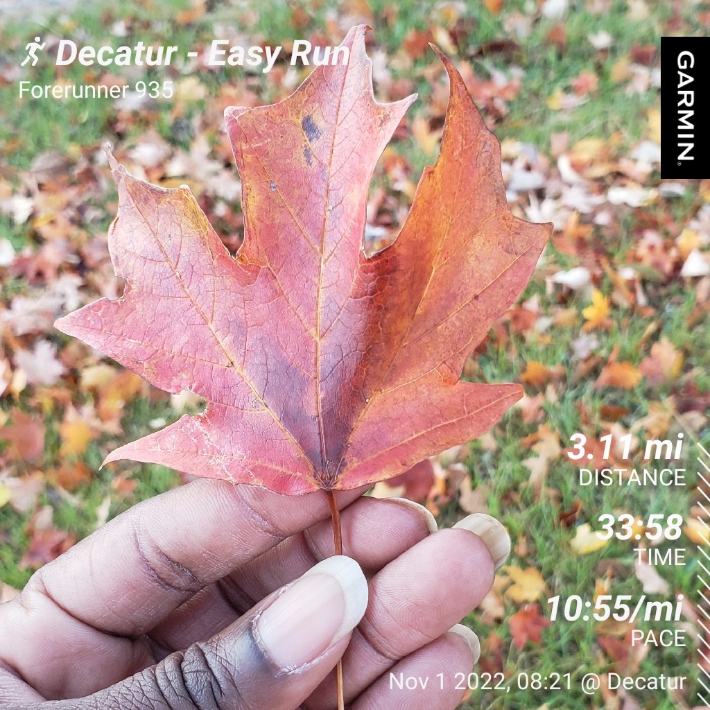 nacole99's tweet photo. Hello November! The best month of the year is here. The count down to my birthday has begun. Today's 5k kicks off a new week of @SavannahSports #savbridgerun training. #bibchat #runchat #savbridgerunbr #leagueofgarmin #RunSAV https://t.co/Z5H7hiPzLA