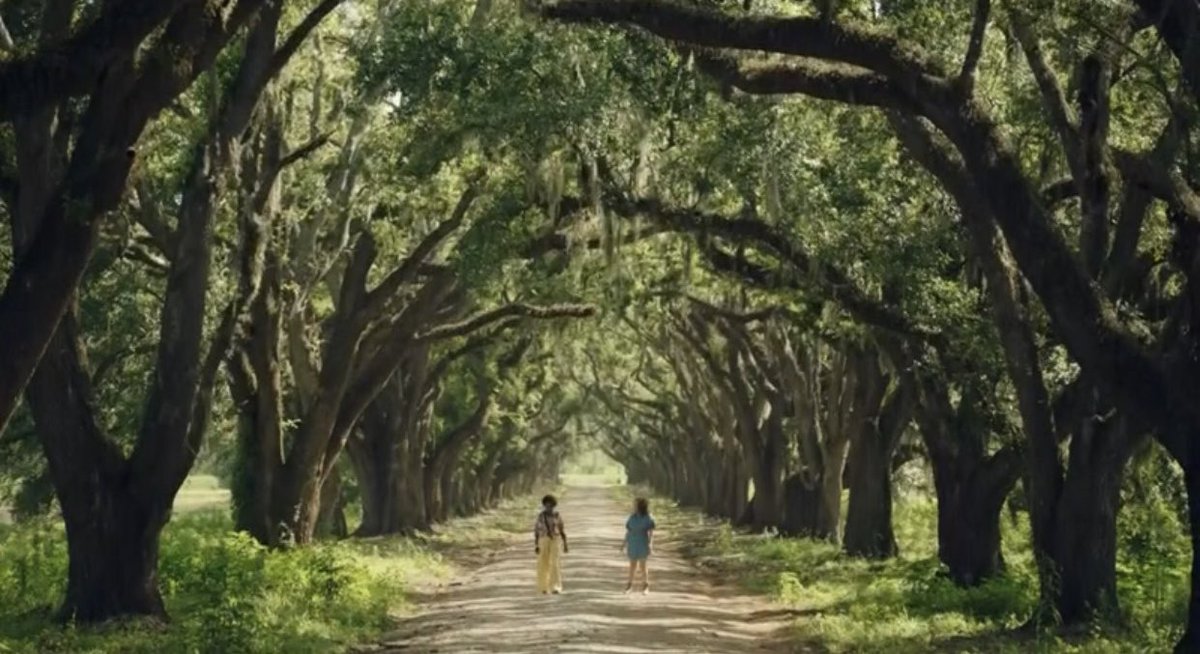 S7 E9 Those trees... A beautiful opening! 🎬 @aurog24  @QueenSugarOWN @ARRAYNow @OWNTV

#QueenSugar