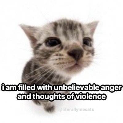 literallymecats's tweet photo. https://t.co/VUHJbNsmfi