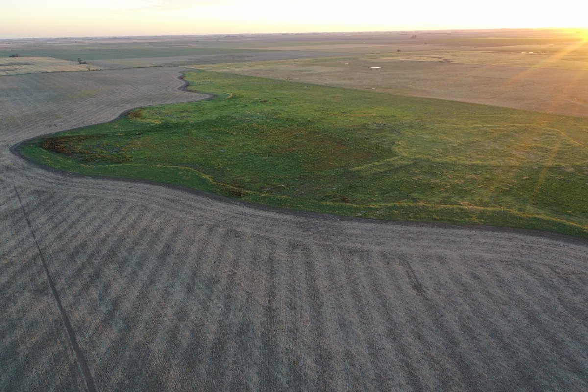 Antes y después en los #suelossalinos de #ChacraAmérica. 

<a href="/aapresid/">Aapresid</a> @AapresidAmerica 
#juntossabemosmas