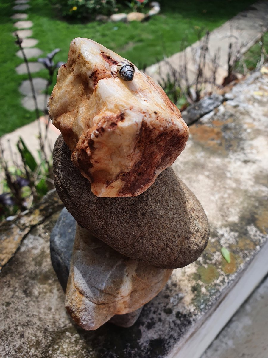 soniagracielah1's tweet photo. Chiquitín soy. Amo las alturas.
#balancederocas
#balancedrocks #contemplation #beautiful
#rockbalance #rocks #meditation #concentration #nature #goodnight #GoodNightTwitterWorld #balance #calm #meditation #balancedrocks #stonestack #Zen #frontgarden #lockdownart #RockBalancing https://t.co/eH30PywR1s