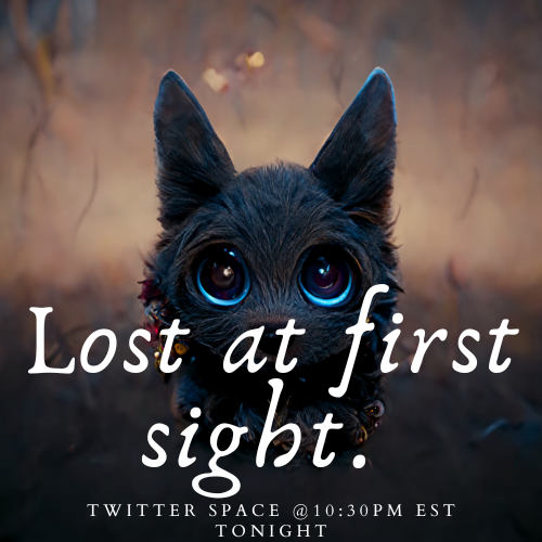 Lost At First Sight tweet media