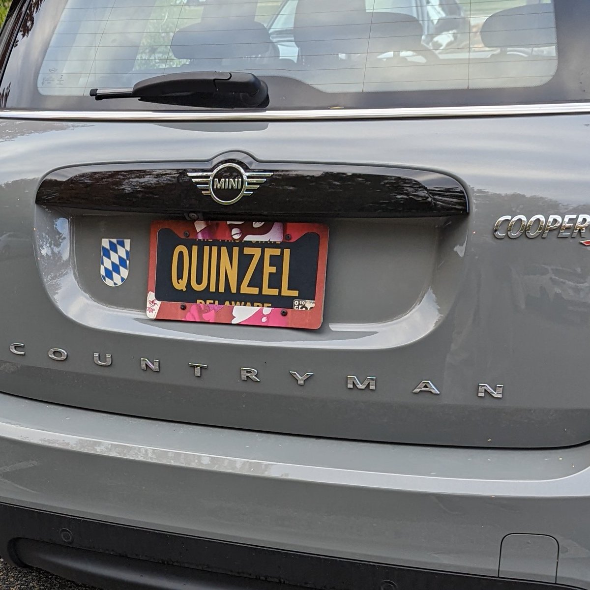 DE vanity plates tweet media