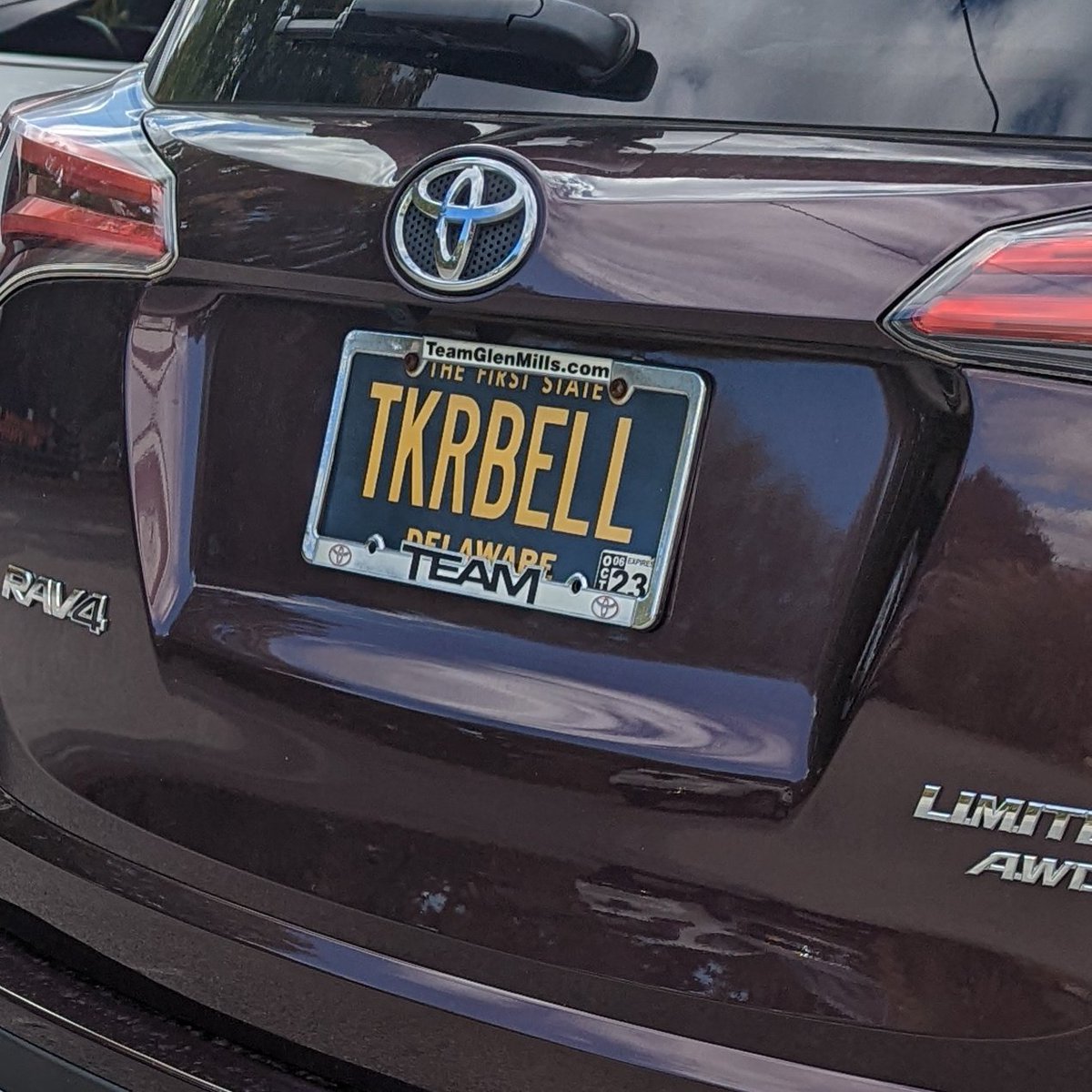 DE vanity plates tweet media