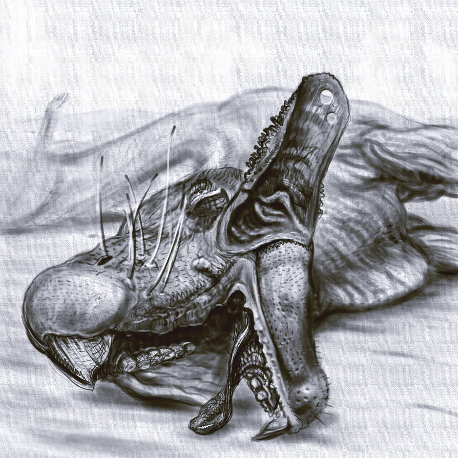 Kicking off the Vathyzoic's Twitter account