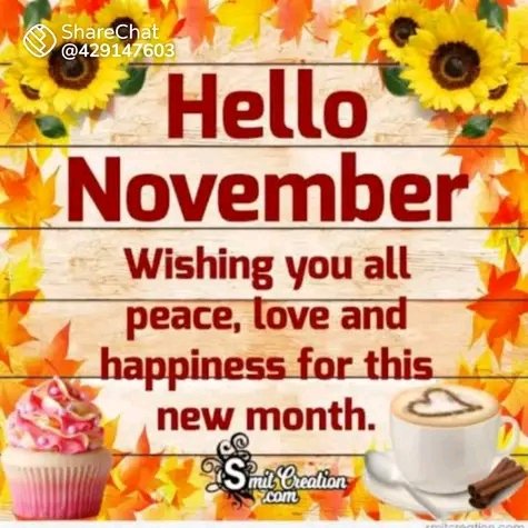 RM PHOCUS (@phocus_rm) on Twitter photo 