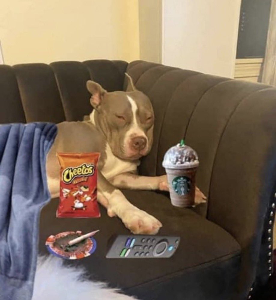 MadMixMax's tweet photo. Post Halloween weekend has me like https://t.co/RcZrFQLjfc