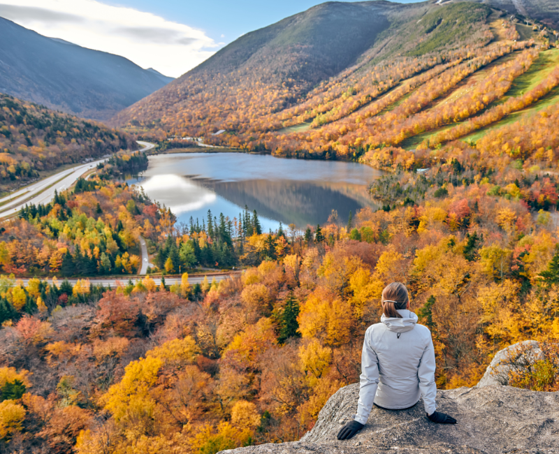eco_loves's tweet photo. Happy fall, ya'll! 🍂 https://t.co/4fg0BUXlGt