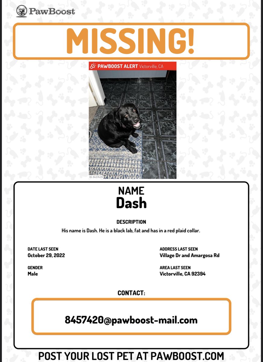 aurielleee_'s tweet photo. Dash is still missing!! Please please retweet this post to help me find Dash! #victorville #hesperia #pawboost #pawboostalert #MissingDog #FindDash https://t.co/ovdworPRqK