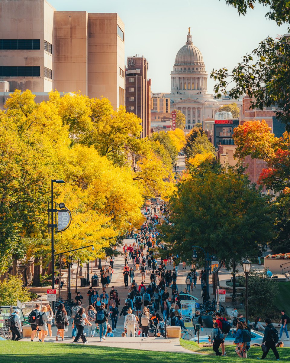 Catching the last bit of fall in Madison
