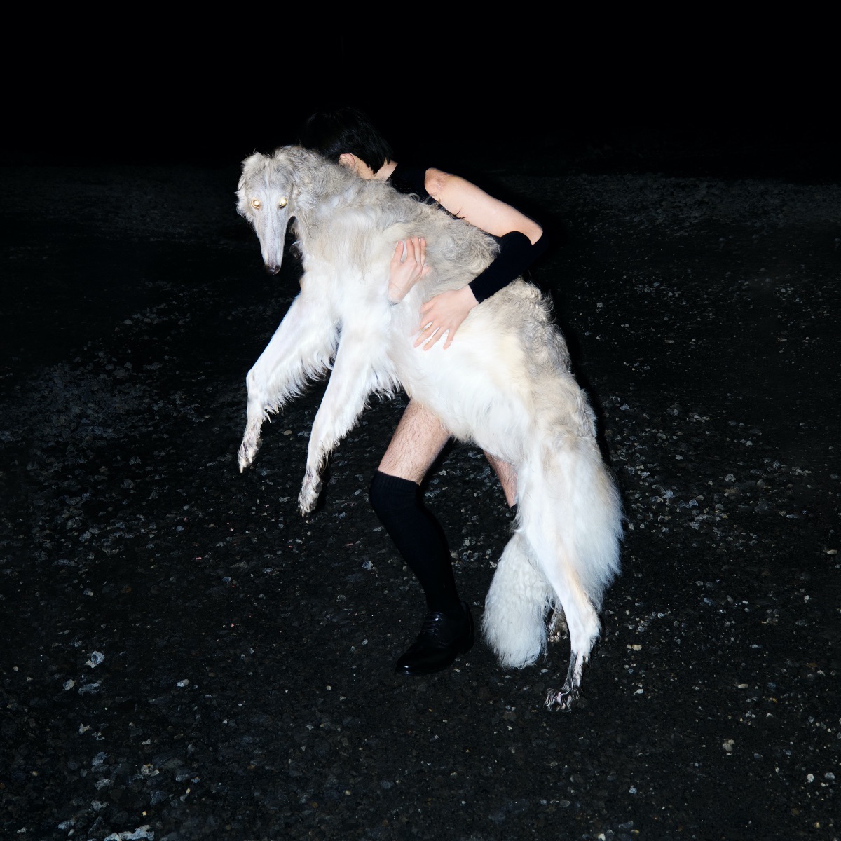 MAGNET Magazine tweet media