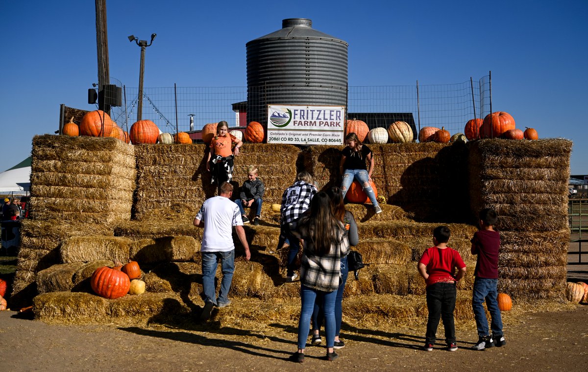 AlexMcIntyre520's tweet photo. Spent an afternoon at Fritzler Farm Park in LaSalle on Saturday for their closing weekend of the fall season. More photos: https://t.co/g3cEN24ipt | 📸 for @GreeleyTribune https://t.co/tY13ymza6S