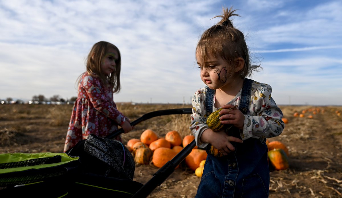 AlexMcIntyre520's tweet photo. Spent an afternoon at Fritzler Farm Park in LaSalle on Saturday for their closing weekend of the fall season. More photos: https://t.co/g3cEN24ipt | 📸 for @GreeleyTribune https://t.co/tY13ymza6S