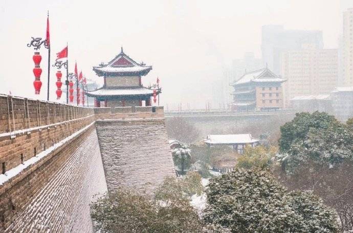 ViVi Tong tweet media