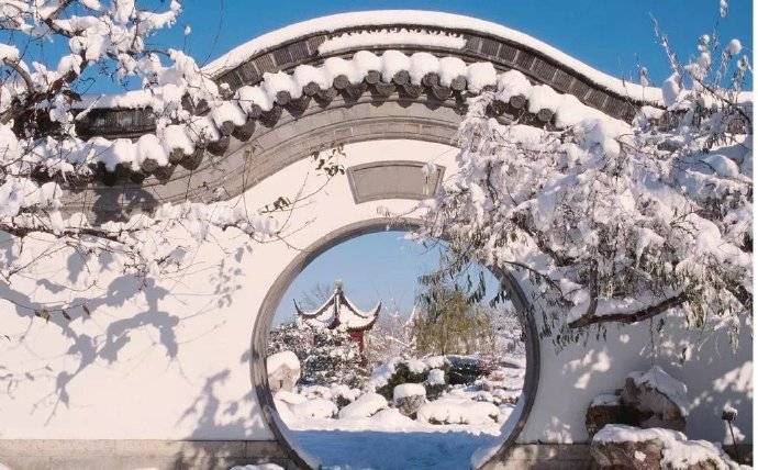 ViVi Tong tweet media