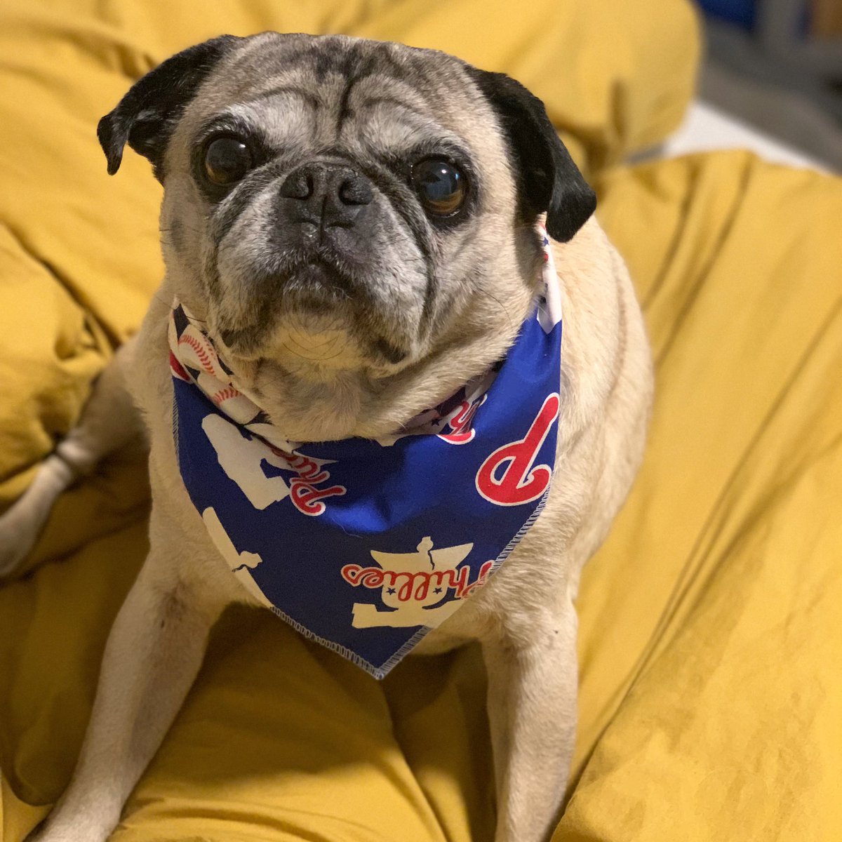 I BLEED RED BABY #RedOctober #RingTheBell <a href="/Phillies/">Philadelphia Phillies</a>