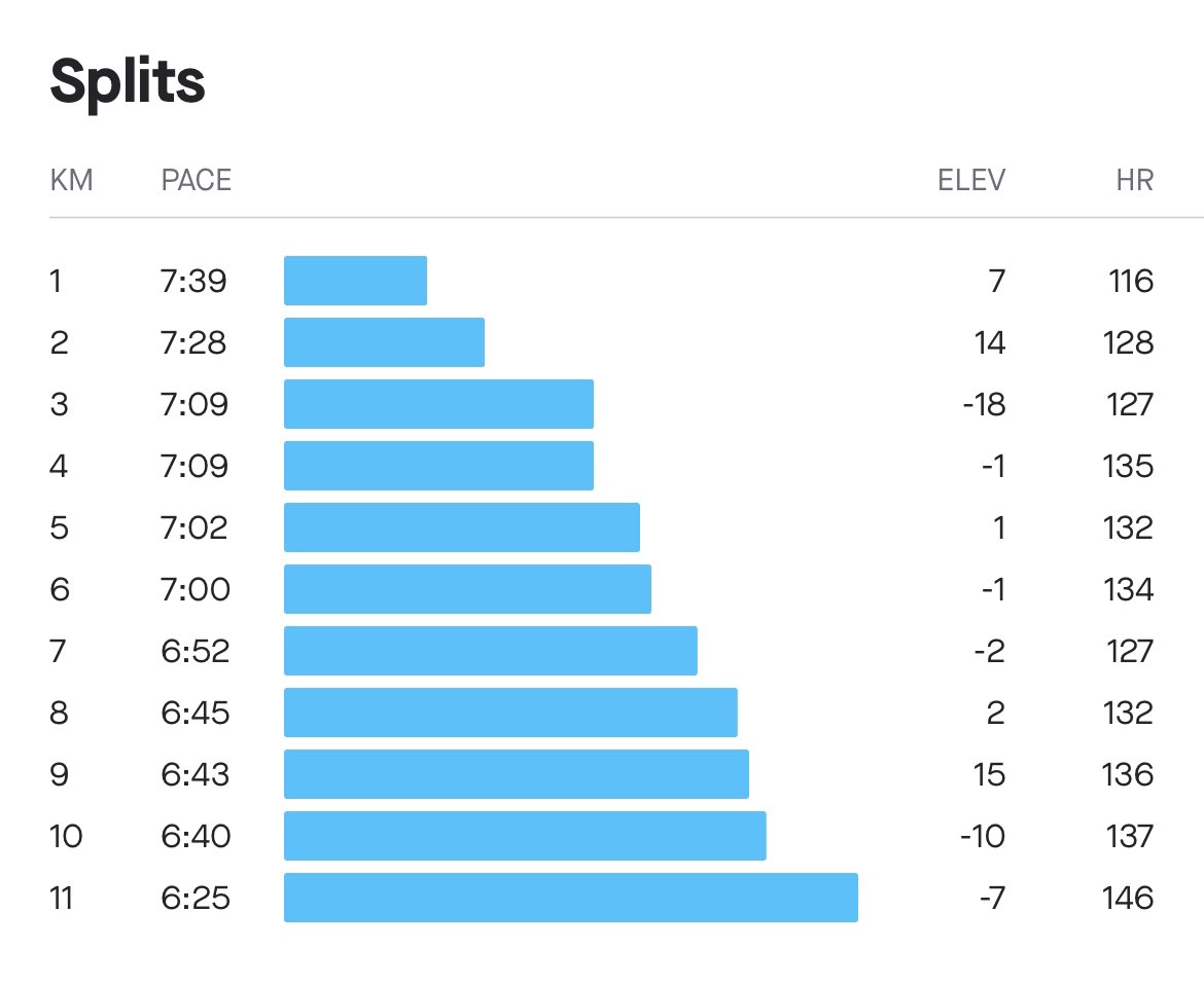 one3007's tweet photo. 607km

AM session easy run 

#RaceMonth #RoadToKLSCM2022 https://t.co/g8r4SEtcF0