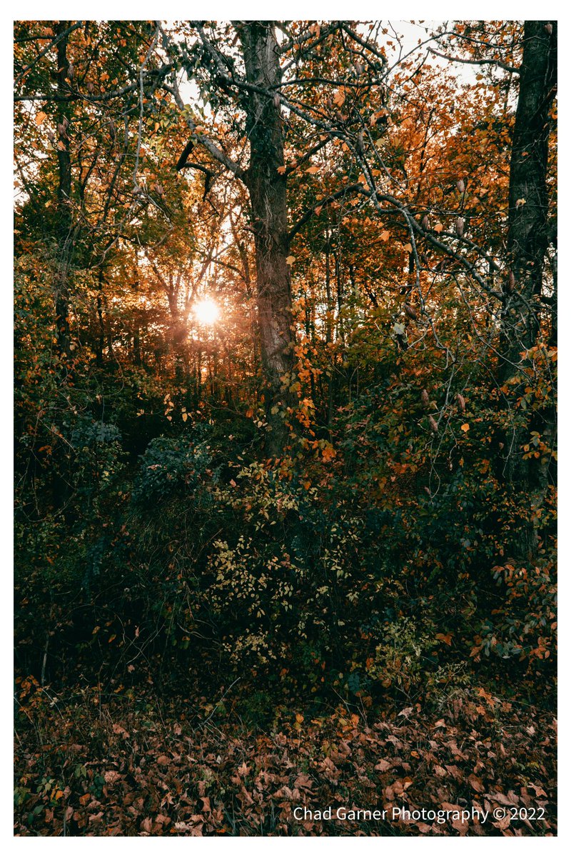 Colorful fall evening. #fujifilm #fujifilmxt4 #fujilove #myfujifilmlegacy #photowalk #photowalkpodcast