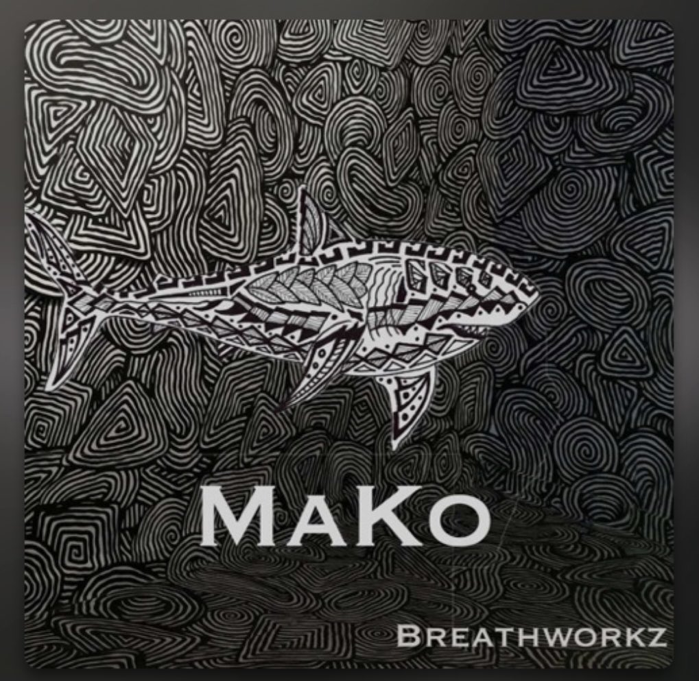 Mako out now 🦈⚛️

soundcloud.com/gabriel-maleh/…