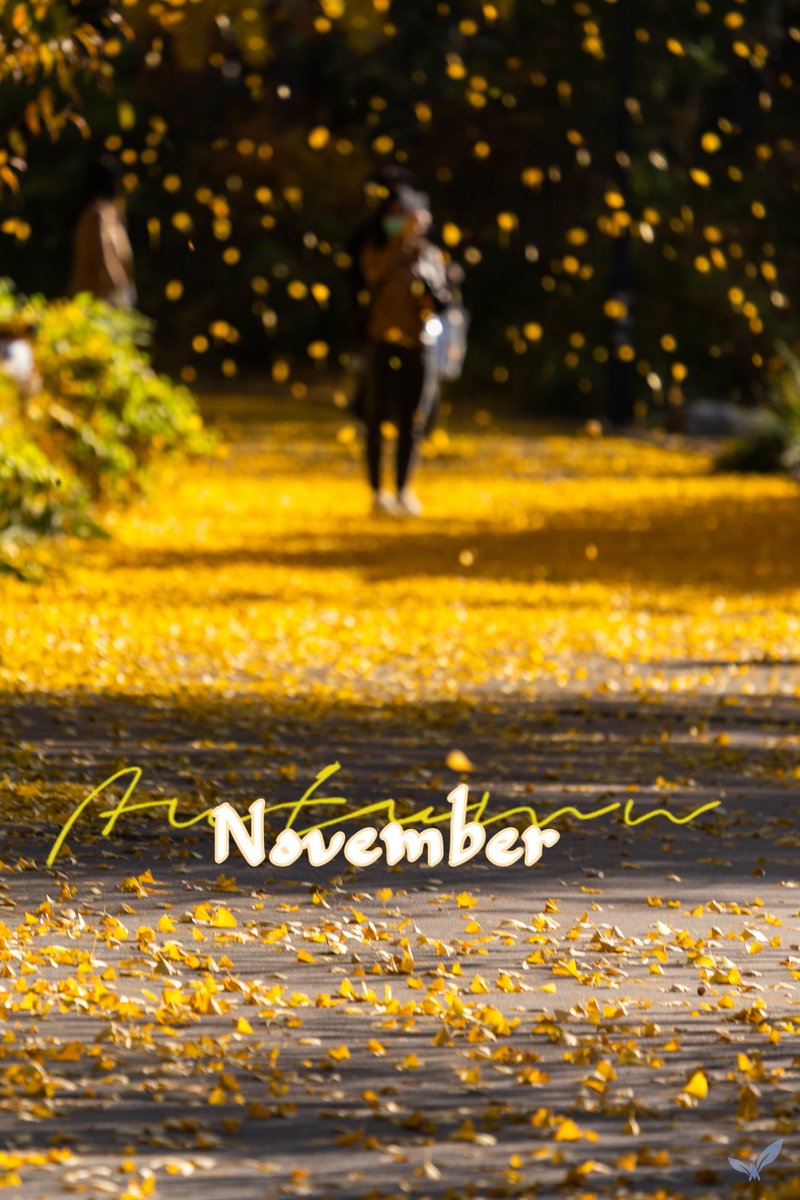 PKU1898's tweet photo. Anyone who thinks fallen leaves are dead has never watched them dancing in the wind.
📷: Hu Xiaodong
#PKUinAutumn #HiNovember✨🍂 https://t.co/tDUWmJv5aJ