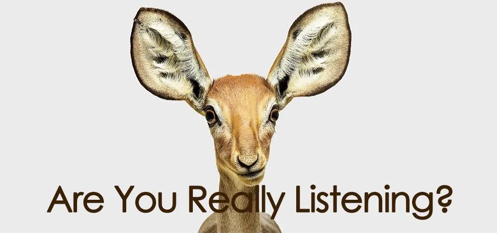 baateinwithyou's tweet image. “Listening” Alone can solve most of the problems  . It’s the supreme mantra for Our own change . Do you listen ? Some tips in upcoming tweets 🙏 #reflectiveconversations #listen #spiritualgrowth #Spirituality #emotionalhealth