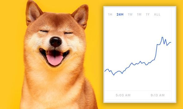 SaaSGo2's tweet photo. #dogecoin rallied to its highest price in five months on Tuesday and is currently the third most traded token on @coinbase!

What coins are you watching in this market run?

Comment below! ⬇️ https://t.co/8TOzcvY6tD