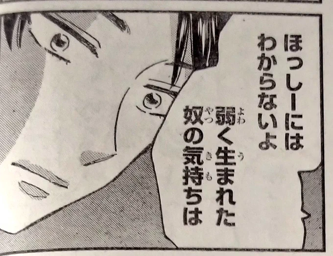 今日発売の週刊少年マガジンに「日向さん、星野です。」13話目載ってます。
先週日向さんが爆弾発言をしましたが今回は男子回です。
ほっしー大好きな三樹くんにも秘密があって...
よろしくお願いいたします!🌟🌳🌿

#日向さん星野です
#ひなほし 