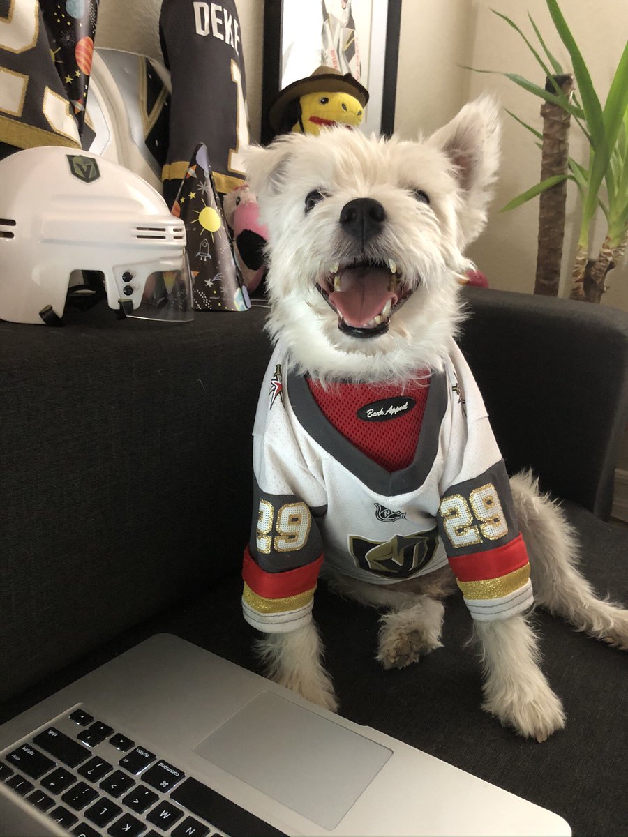 BarkAndreFurry's tweet photo. CARRIER DELIVERS 🚨
@GoldenKnights 2
@Capitals 2
~ Bark🐾
#GoKnightsGo 
#VegasBorn #VGKvsWas https://t.co/nNzYXlwFjp