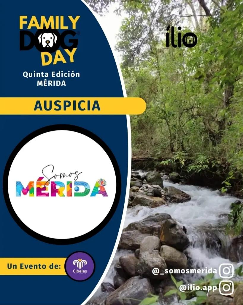 _somosmerida's tweet photo. Este fin de semana @_somosmerida  estará presente en este increíble evento...#SOMOSPetFriendly #petfriendly #mascotas #merida https://t.co/5IWtFrVg2N