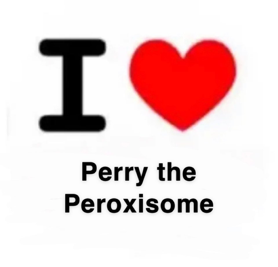 PeroxisomePerry's tweet photo. Peroxisomes play a role in at LEAST 50 biochemical reactions in your 🫵 body @HApbio #OrganelleWars #voteperry #youdbedeadwithoutperry https://t.co/rDpUAJ8JxJ