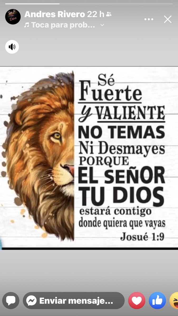 amadeusgarca1's tweet photo. Inmensa mente… #ConMuchaFE https://t.co/v0rFdrkxnc